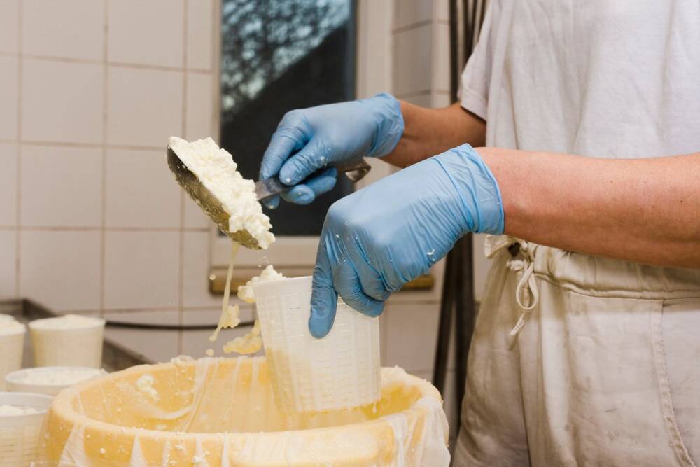 A person in blue gloves scoops fresh cheese from a large container, transferring it into a plastic cup in a kitchen setting.