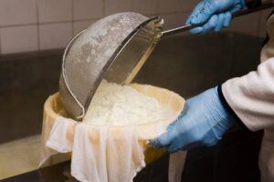 A person wearing blue gloves sifts freshly made cheese through a mesh strainer into a cloth-lined bowl.